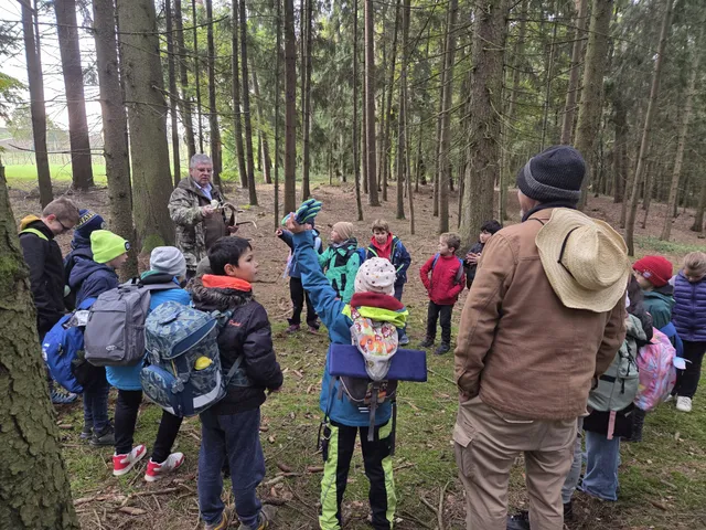 Ausflug in den Wald