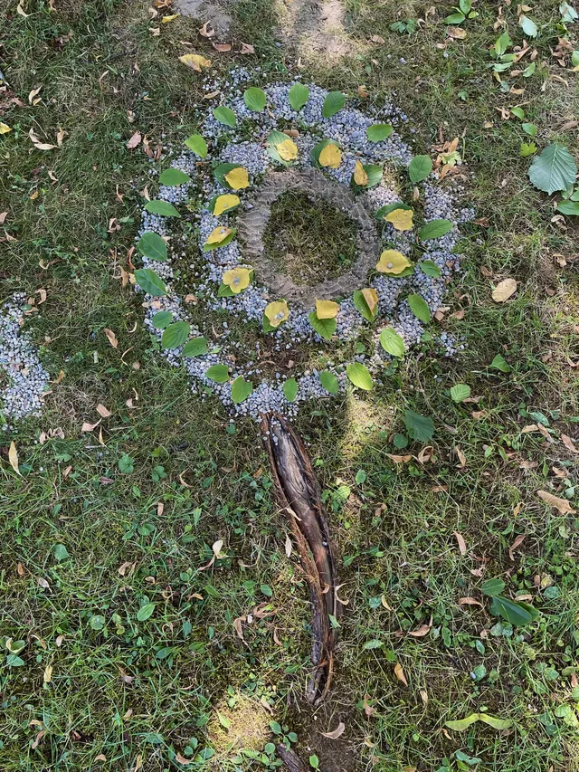 Schnecken entdecken mit Landart